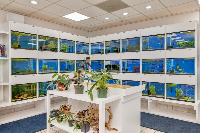 Capital Exotic Fish - Photo 5