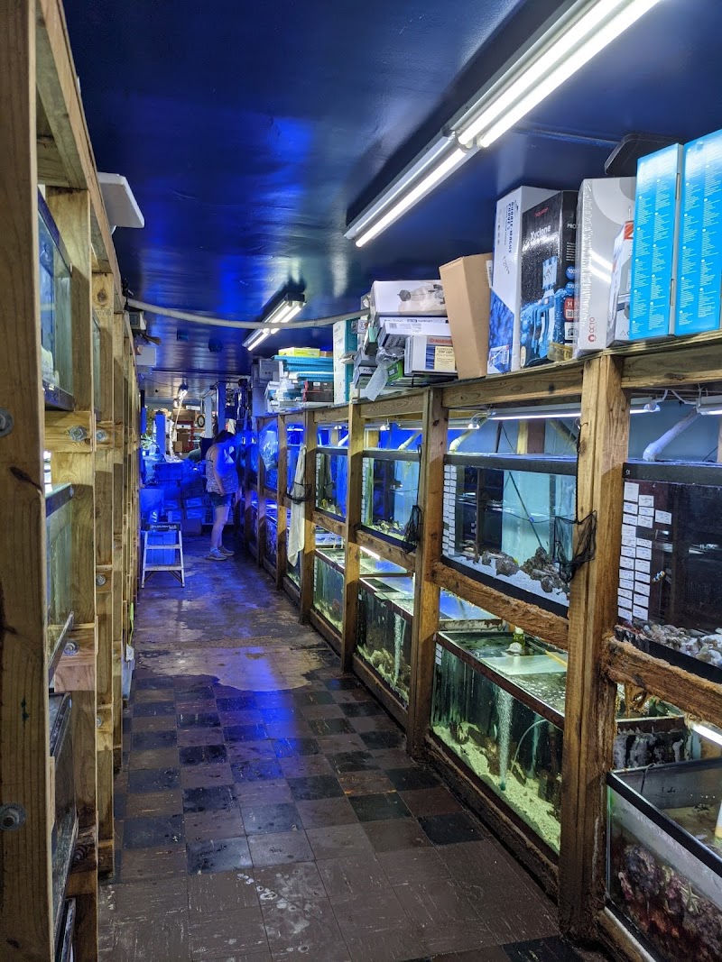 Tropical Lagoon Aquarium - Photo 3