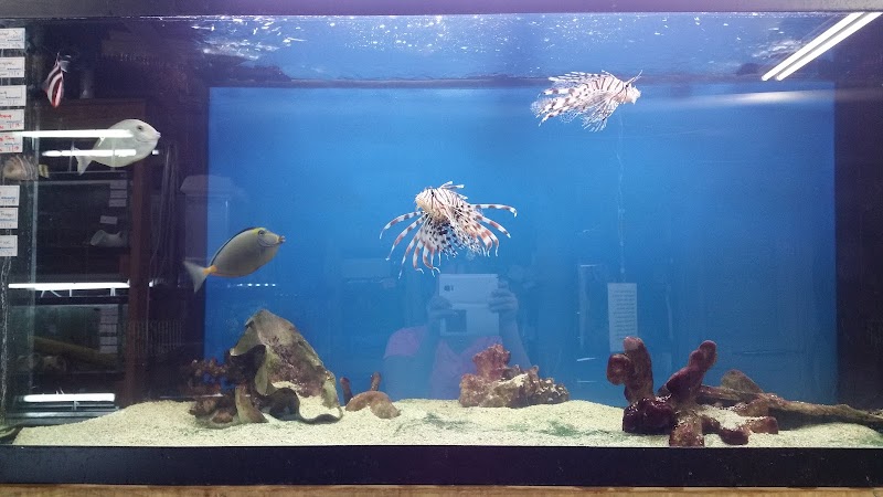 Tropical Lagoon Aquarium - Photo 4