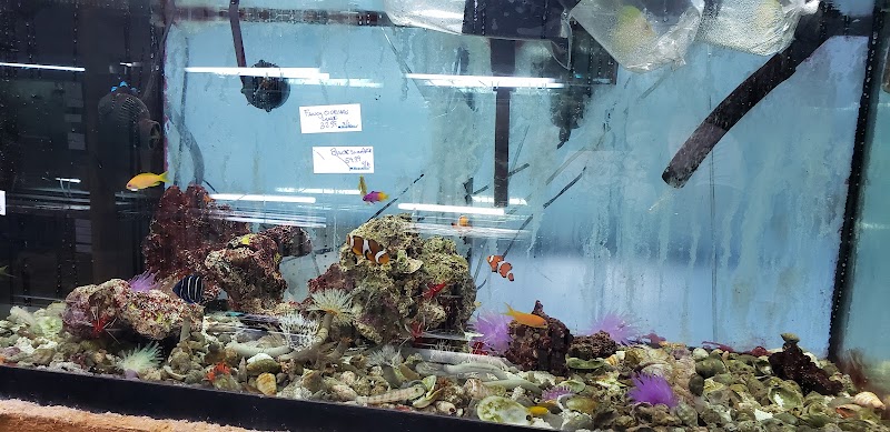 Tropical Lagoon Aquarium - Photo 5