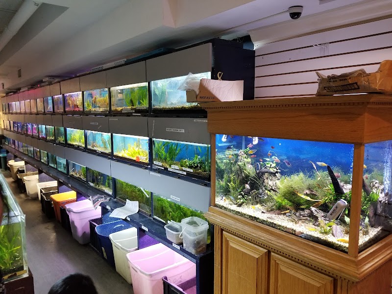 Congressional Aquarium - Photo 2