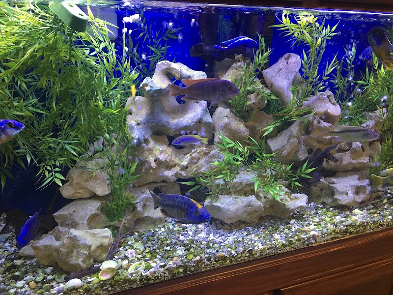 Congressional Aquarium - Photo 3