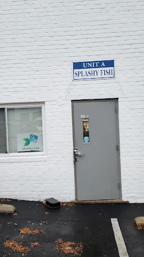 Splashy Fish - Photo 1