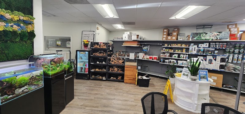 Splashy Fish - Photo 5