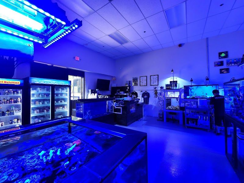 Supreme Reefs - Photo 1