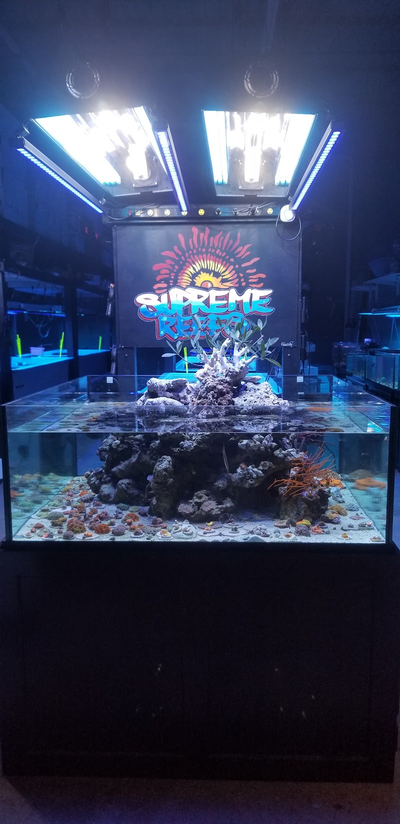 Supreme Reefs - Photo 2