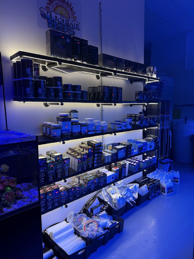 Supreme Reefs - Photo 5