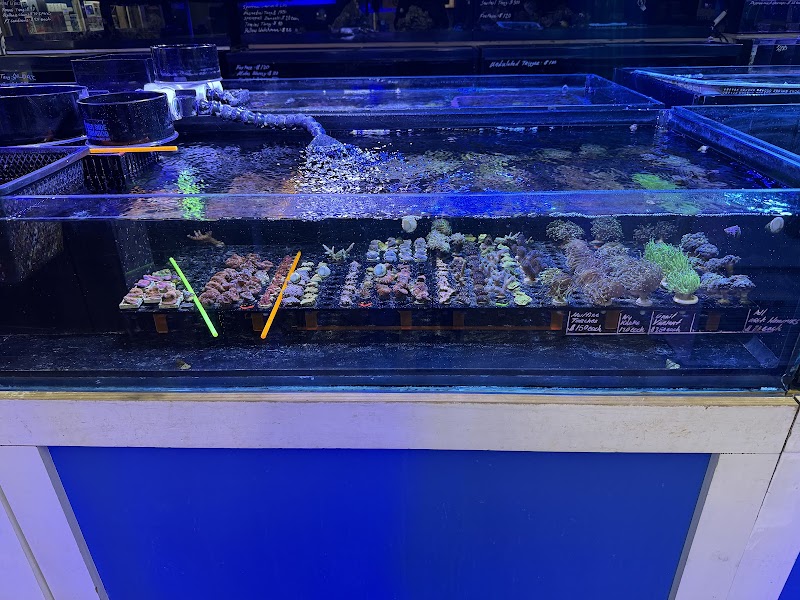 AquaHaus LLC - Photo 2