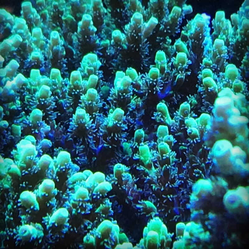 AquaHaus LLC - Photo 3