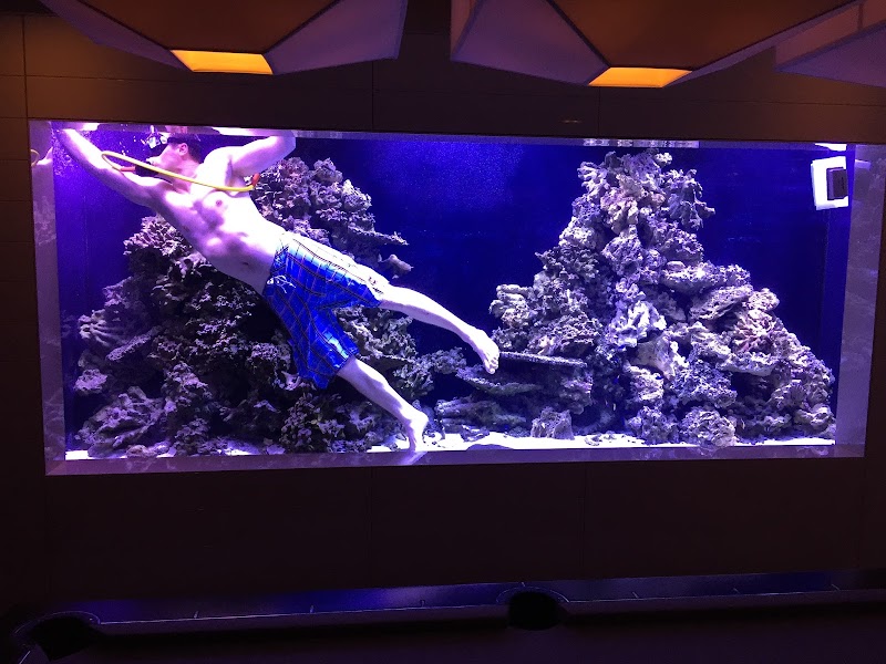 AquaHaus LLC - Photo 5