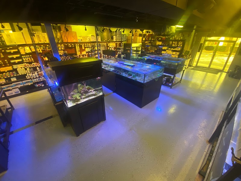 Reef eScape - Photo 3