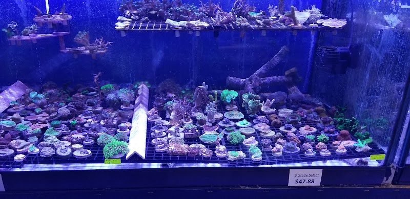 Reef eScape - Photo 4