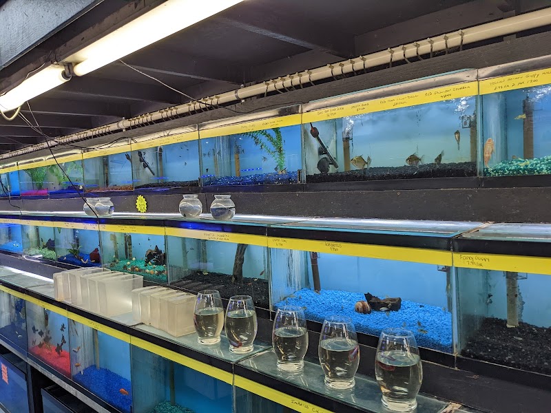 William's Greenbank Aquarium Inc - Photo 3