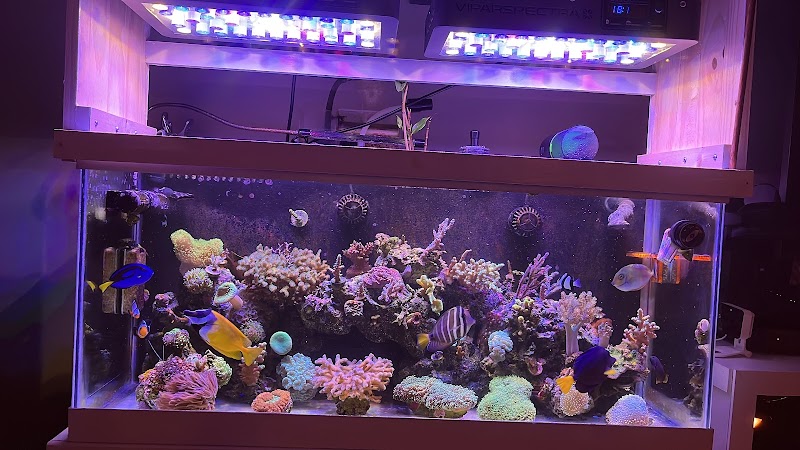 Frags 2 Fishes - Photo 3