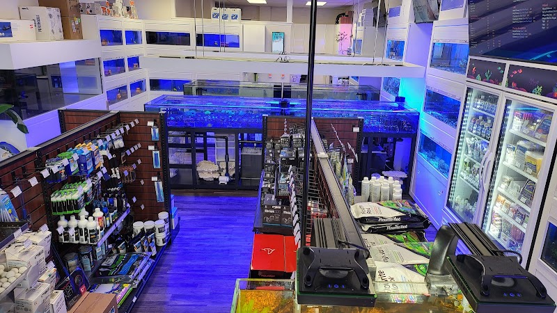 Frags 2 Fishes - Photo 5