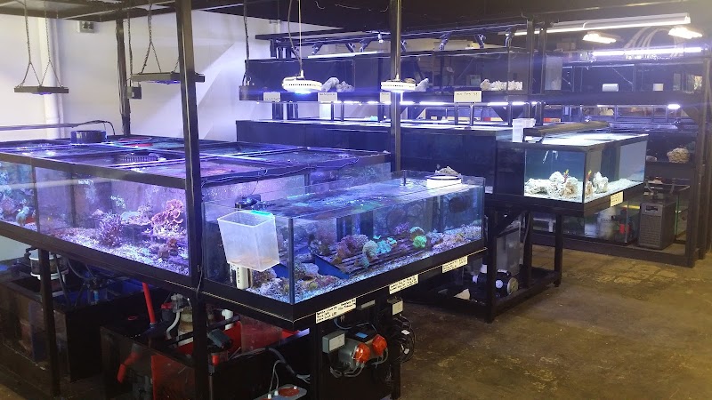 Armco Aquatics - Photo 2