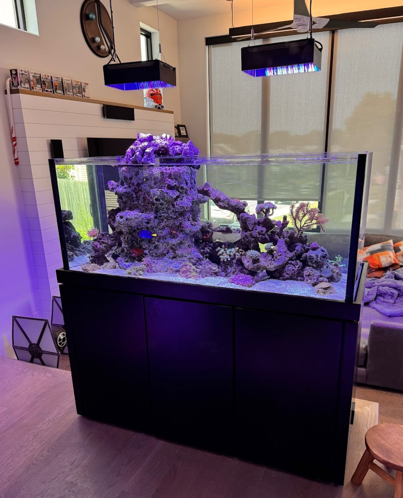 Armco Aquatics - Photo 3