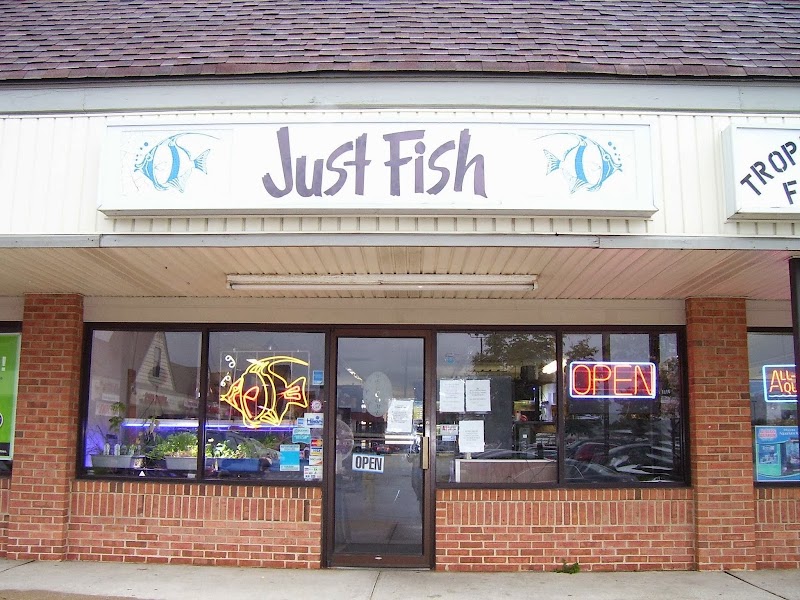 Just Fish - Photo 1