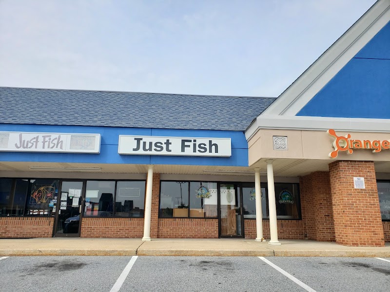 Just Fish - Photo 4