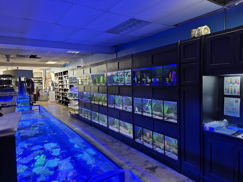 Gulf Coast Aquarium and Pets - Photo 2