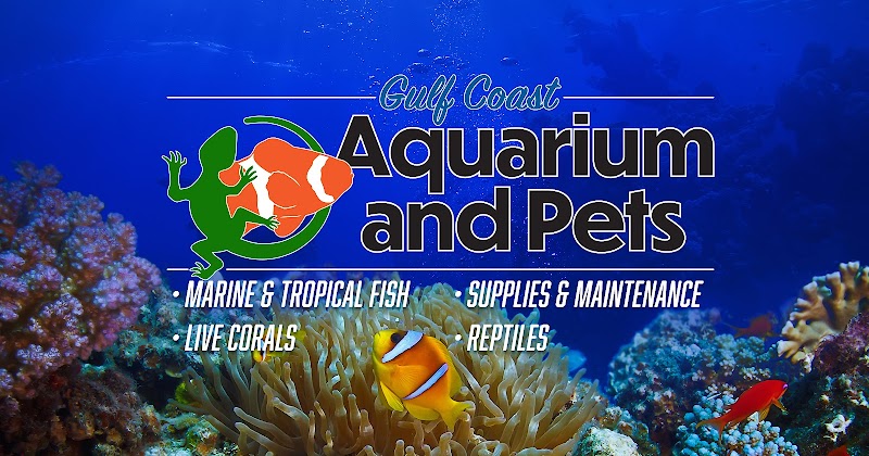Gulf Coast Aquarium and Pets - Photo 4