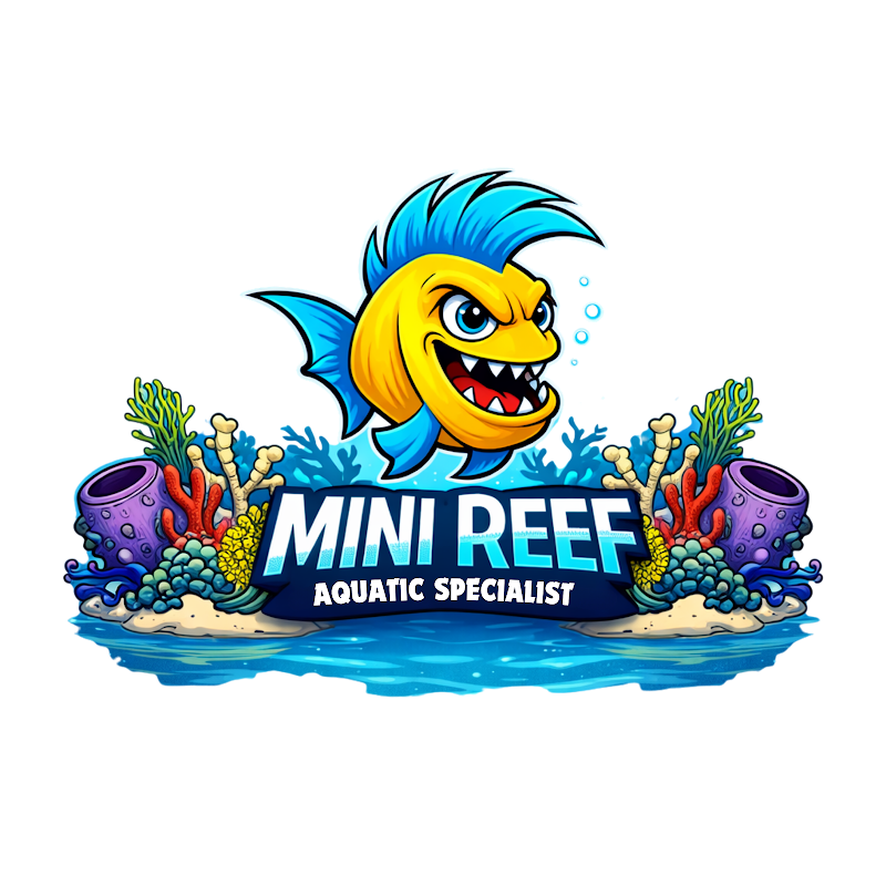Mini Reef - Photo 5