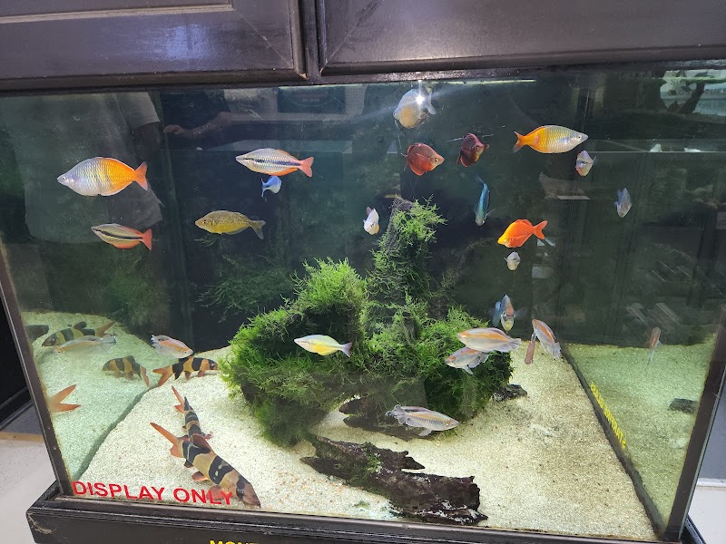 Fishy Business Aquarium - Photo 3