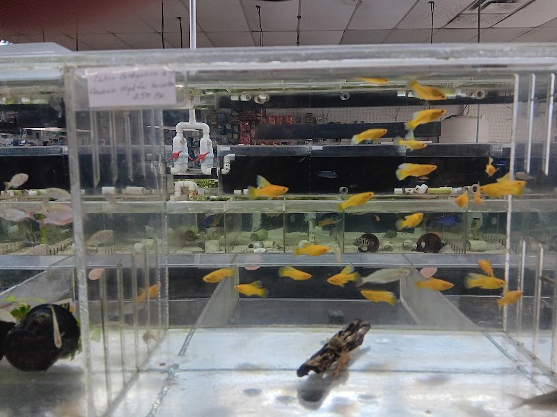 Fishy Business Aquarium - Photo 5