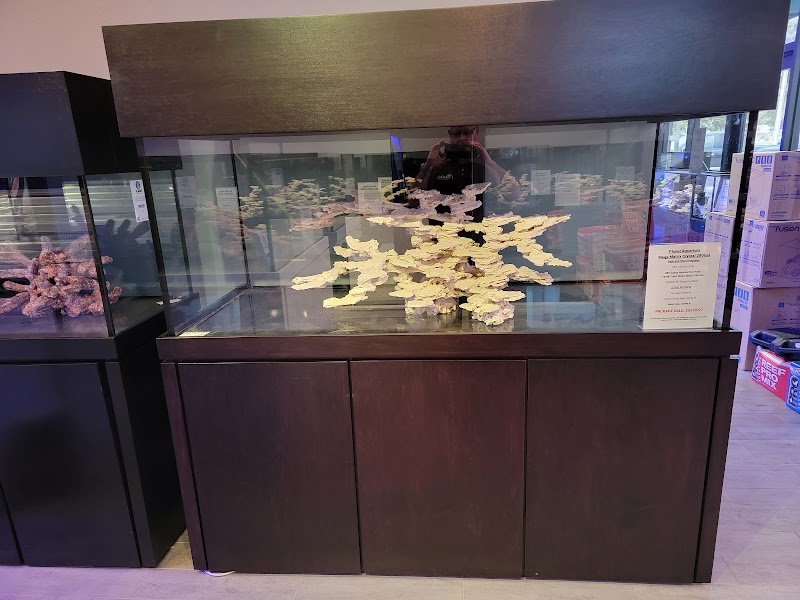 Top Shelf Aquatics - Photo 4