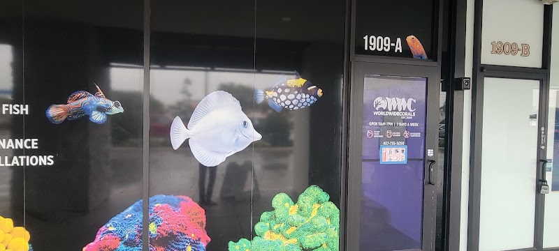 World Wide Corals - Winter Park - Photo 1