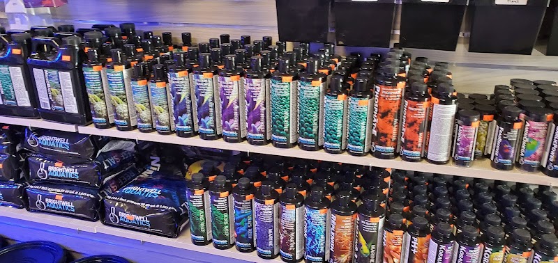 World Wide Corals - Winter Park - Photo 3