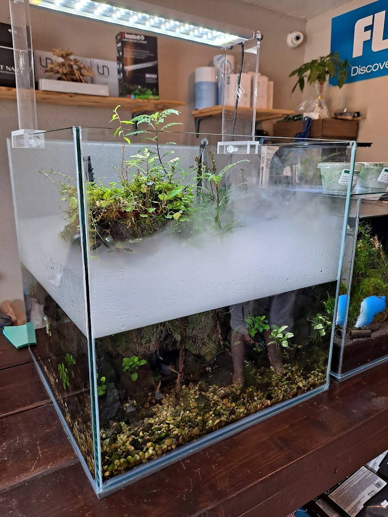 Aquascaping Supply - Photo 4