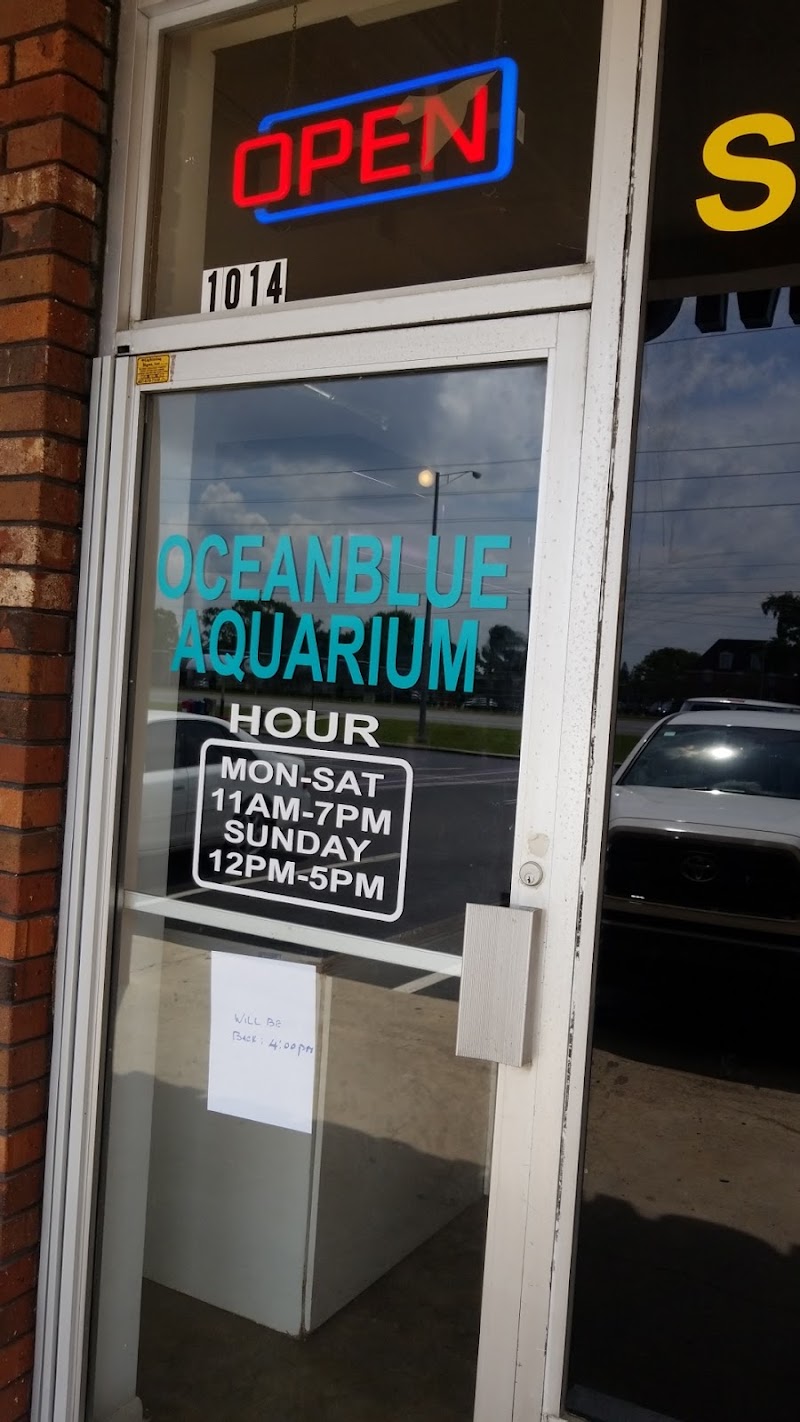 Ocean Blue Aquarium - Photo 1