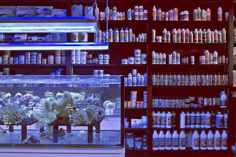 Ocean Blue Aquarium - Photo 2