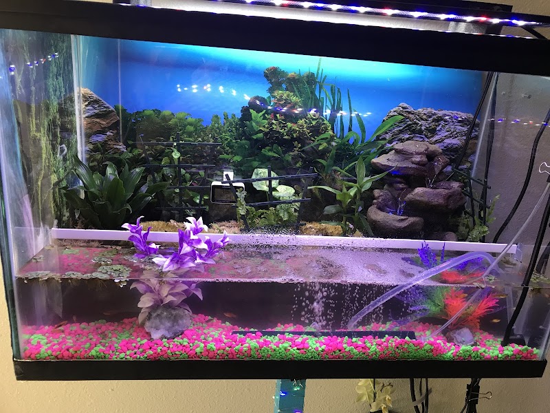 Ocean Blue Aquarium - Photo 4