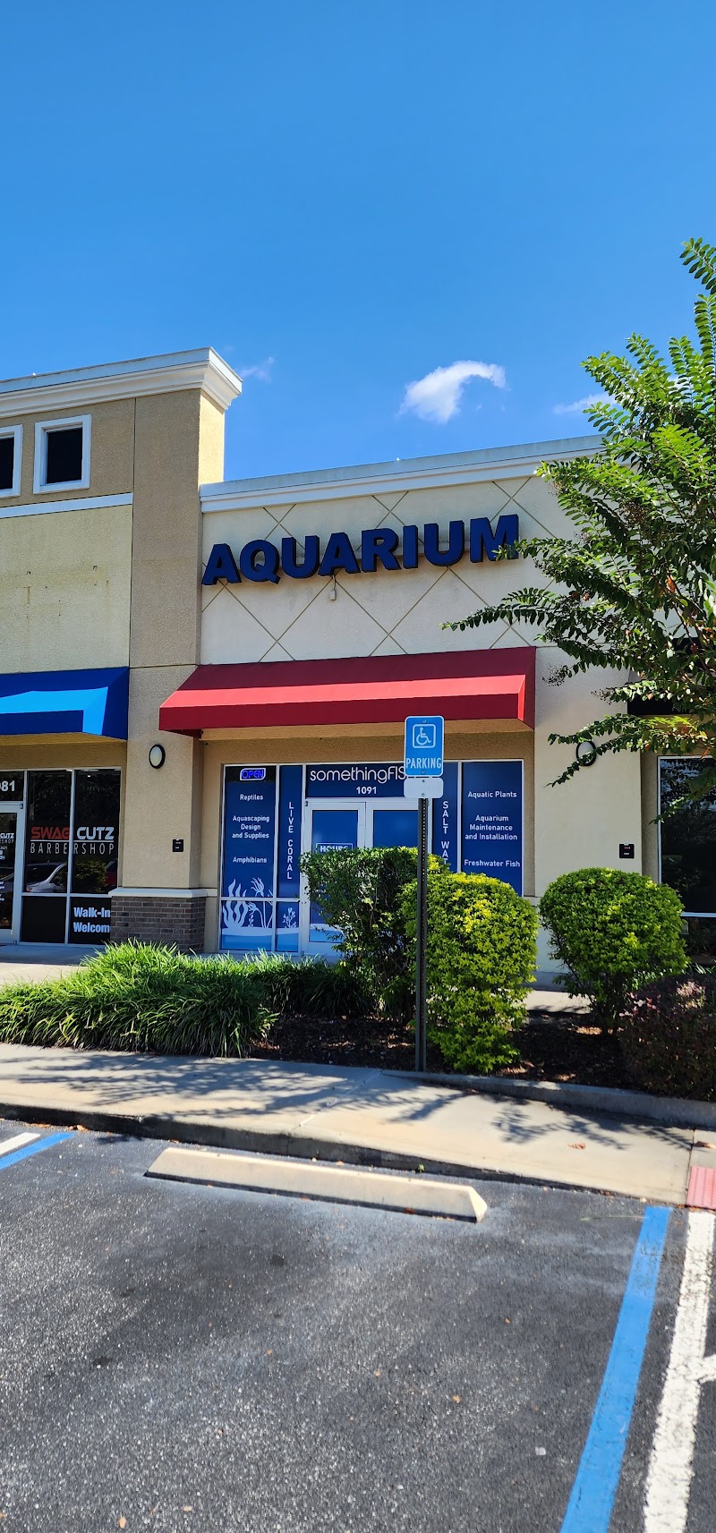 SomethingFISHY - Photo 1