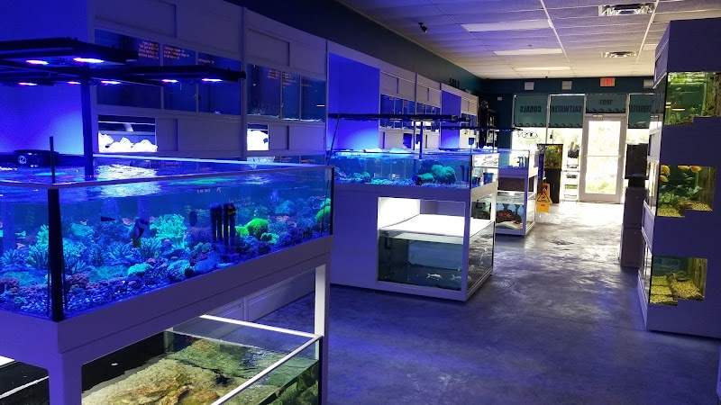 SomethingFISHY - Photo 2