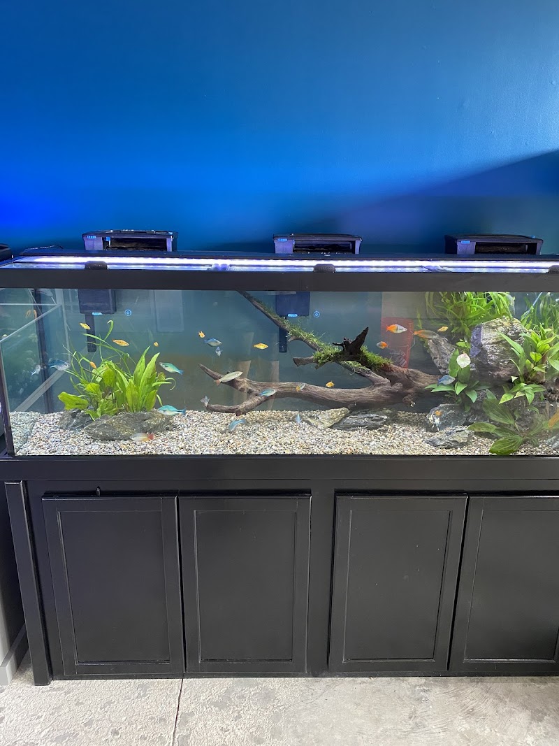 SomethingFISHY - Photo 3