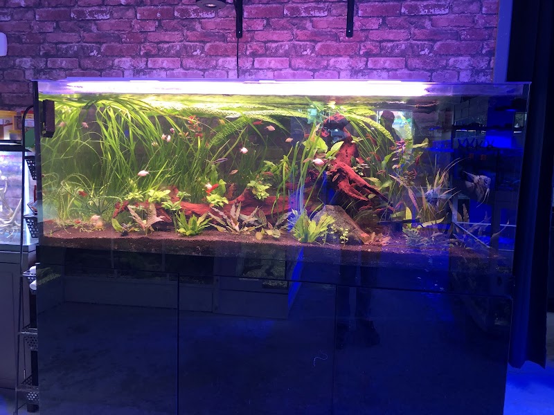 SomethingFISHY - Photo 4