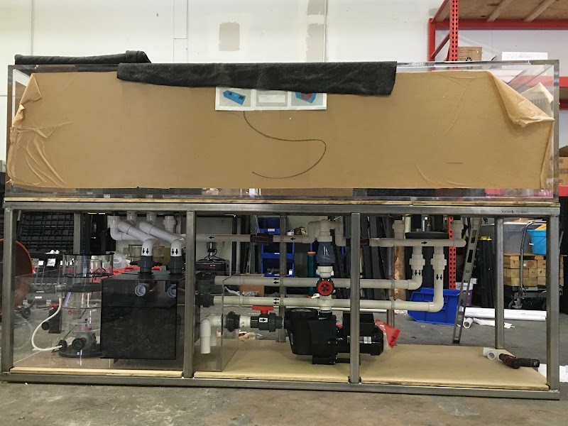 Aquarium Reef Illusions - Photo 1