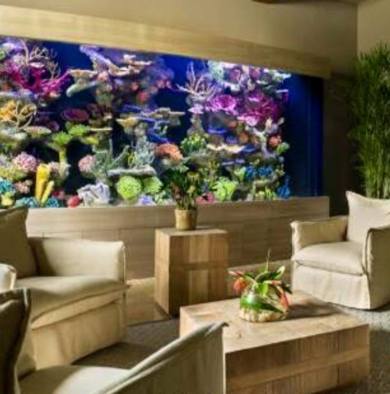 Aquarium Reef Illusions - Photo 2