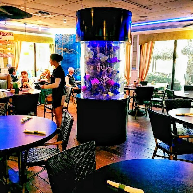 Aquarium Reef Illusions - Photo 3