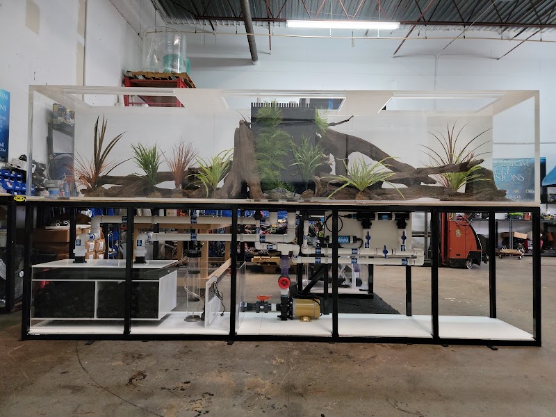 Aquarium Reef Illusions - Photo 4