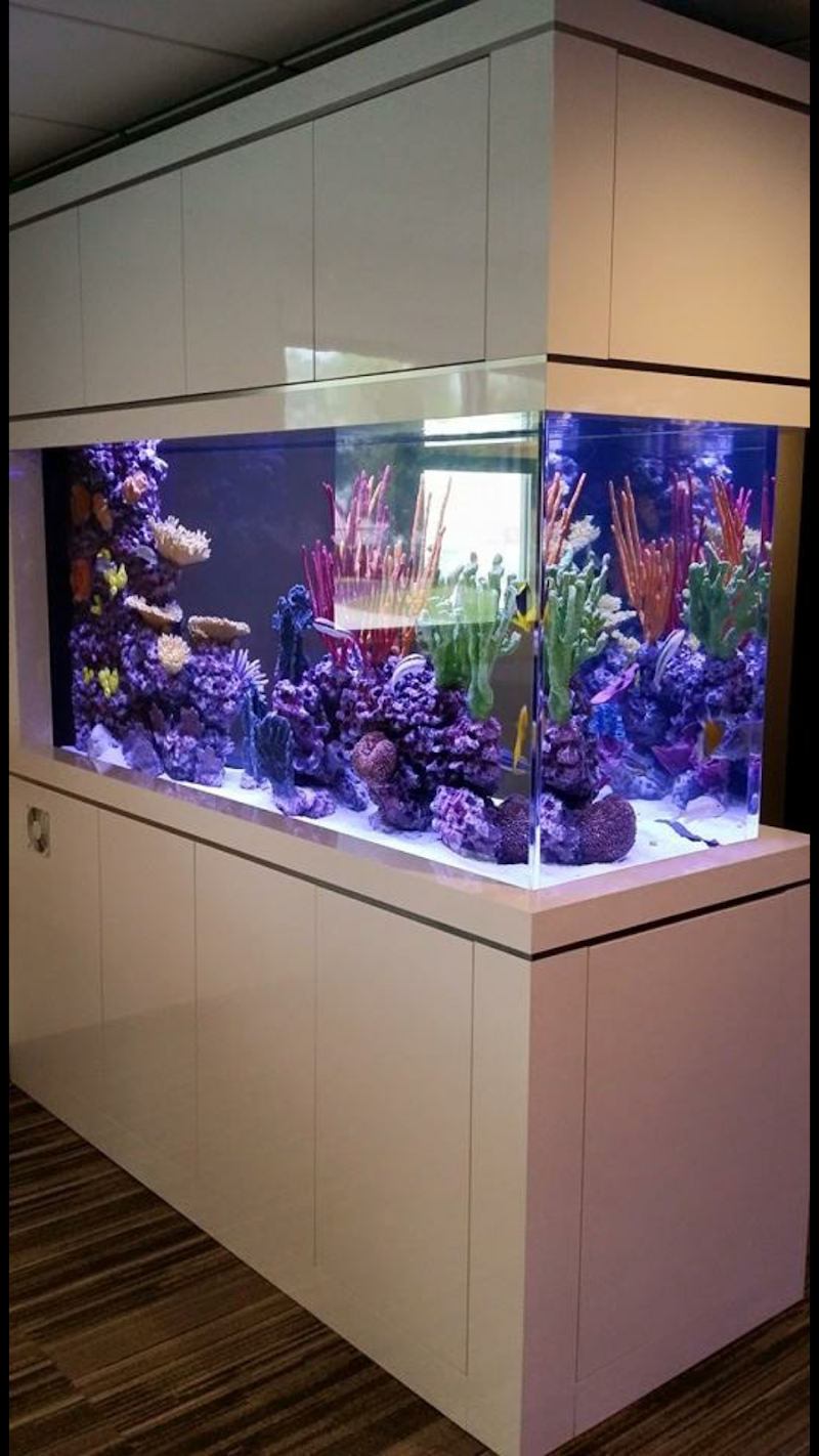 Aquarium Reef Illusions - Photo 5