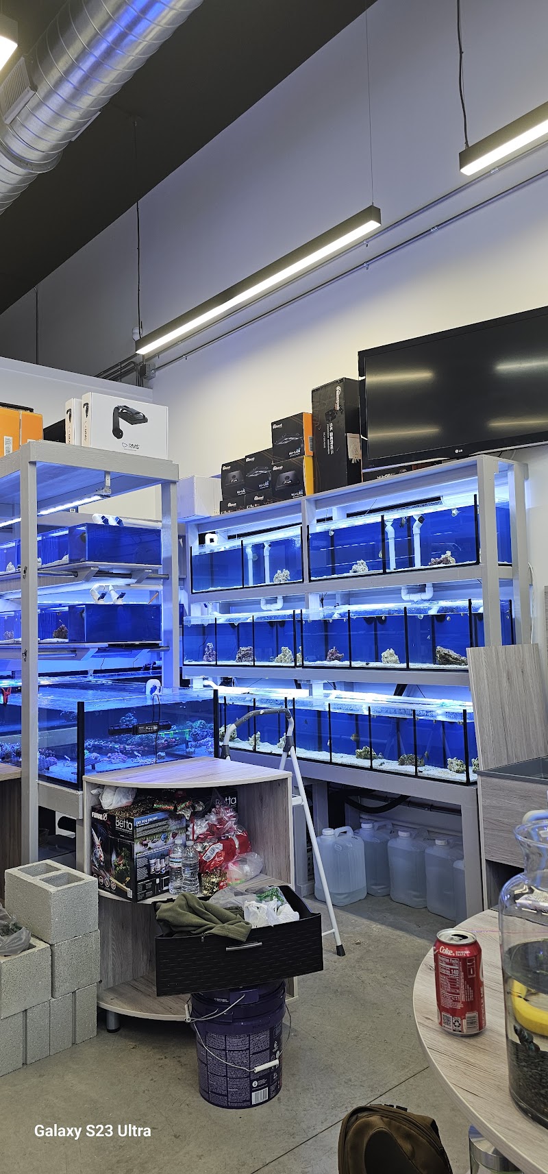 Aquamania Aquarium Store - Photo 1