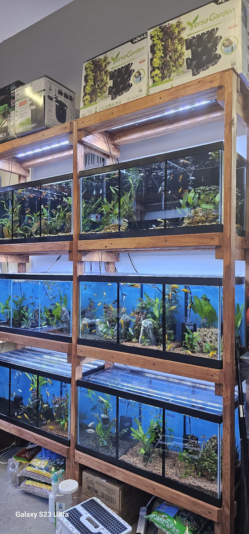 Aquamania Aquarium Store - Photo 2