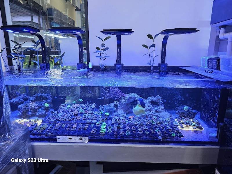 Aquamania Aquarium Store - Photo 3