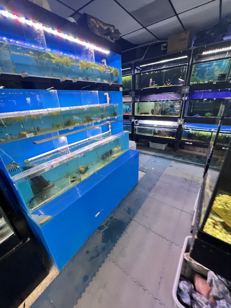 Barrier Reef - Photo 3