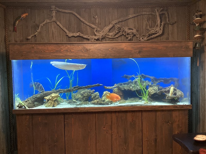 Barrier Reef - Photo 5