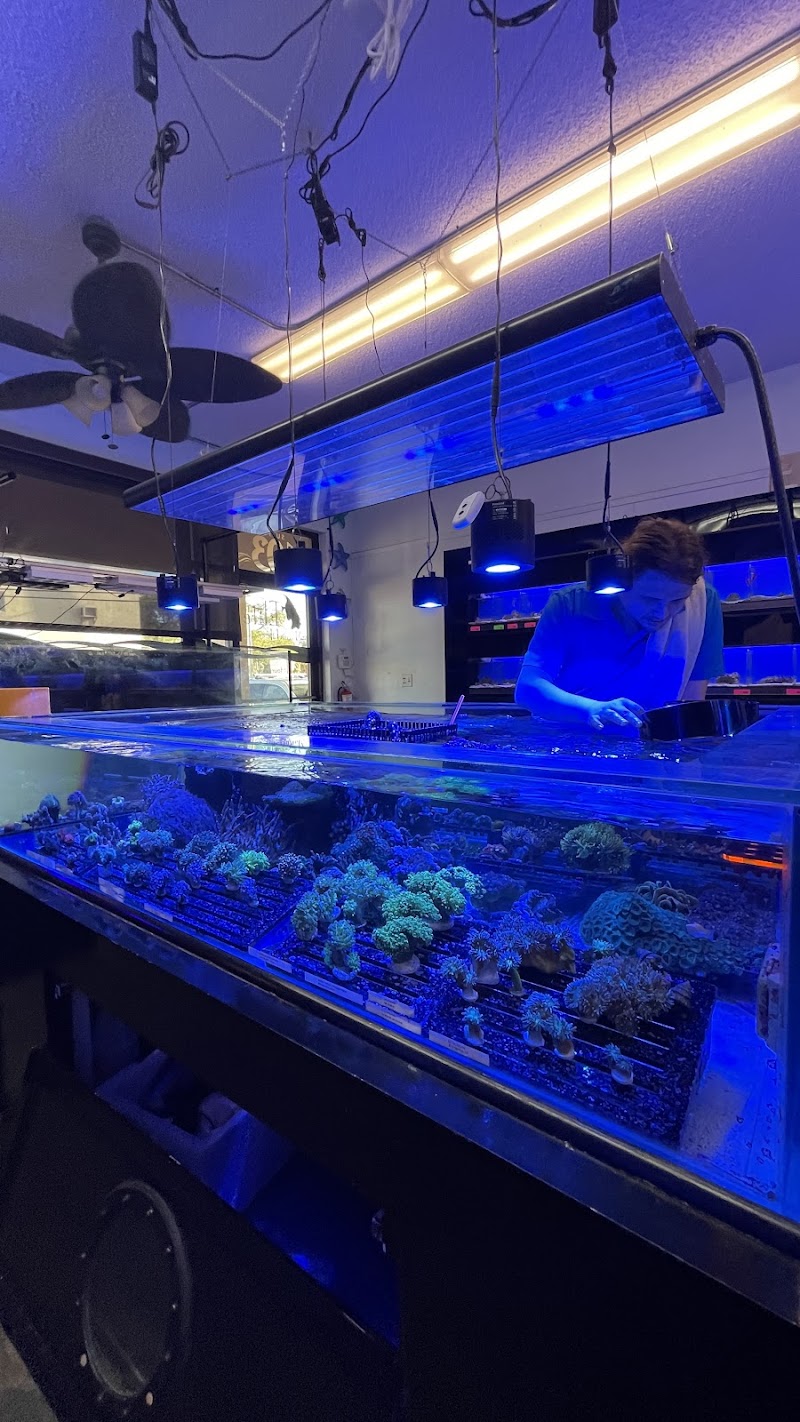 MarineLife by Captive Seas, formerly Elite MarineLife - Photo 3